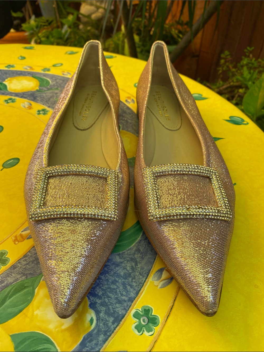 Beautiisoles by Robyn Shreiber Candy flats! New with tags! Size 10